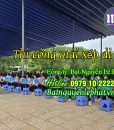 Đơn vị thi công mái che nhà để xe uy tín, chất lượng