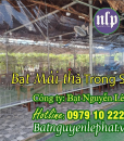 bat-tha-trong-suot-che-nang-mua
